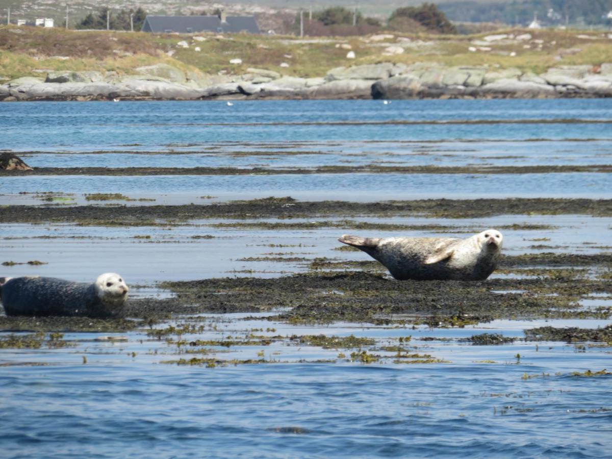 Sea Breeze Cottage Dungloe Bagian luar foto
